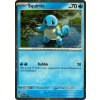 Squirtle 048