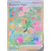 Gardenias Vigor GG61.GG70