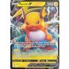 Raichu V 45.172 BRS