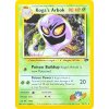 Kogas Arbok 25.132