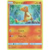 Charmander 18.147 BUS