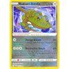 Radiant Steelix 124.196 LOR