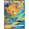 Raichu GX SM213