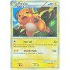 Raichu 30.30
