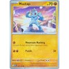 Machop 066.165