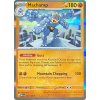 Machamp 068.165 HOLO