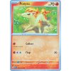 Ponyta 077.165