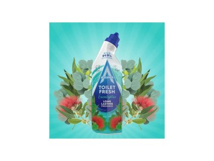 Astonish Gel na čištění toalety Eucalyptus 750ml