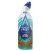 Astonish Gel na čištění toalety Eucalyptus 750ml 2