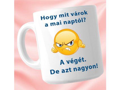 Mit várok a mai naptól - Bögre