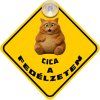 cica