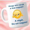 Mit várok a mai naptól - Bögre