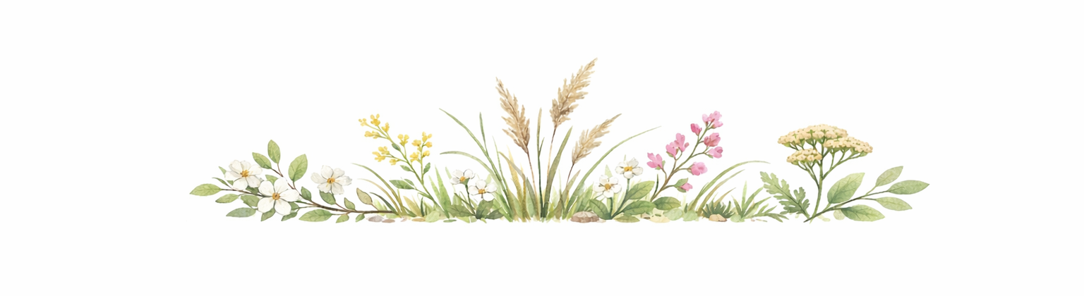 243b4773-f0a7-4b3e-9395-93540330ecdb