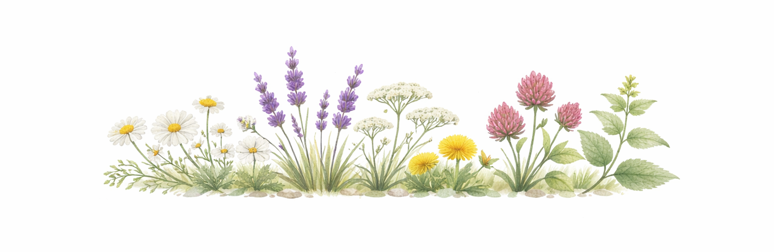 29b599c3-e9d6-4f20-8e8b-f43bc4d8ffab