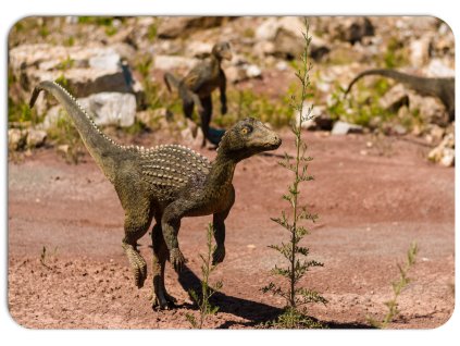Prostírání s motivem mladého dinosaura ve skalnaté krajině, přírodní a autentický vzhled.