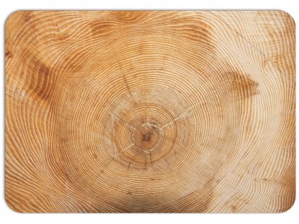 detail letokruhů na řezu dřeva, přírodní motiv, imitace dřeva