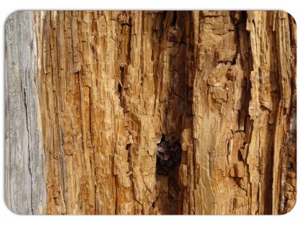 Prostírání na stůl s motivem dřevěné kůry a šišky, realistický přírodní design