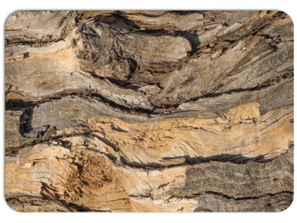 Prostírání na stůl s motivem křivolakého dřeva, přírodní textura, hnědé odstíny