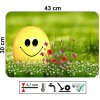 Omyvatelné plastové prostírání 43 x 30 cm s velikonočním motivem usměvavého vajíčka v květinové louce, mechanicky odolné a snadno čistitelné.