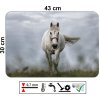 Omyvatelné PVC prostírání s motivem běžícího bílého koně, přírodní scenérie a dynamická atmosféra