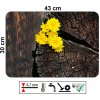 PVC prostírání na stůl s designem tmavého dřeva a žlutých květin, rozměr 43 x 30 cm, hladké a omyvatelné
