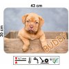 PVC prostírání s vlastním potiskem – štěně s nápisem "Buddy", rozměr 43 × 30 cm, snadno omyvatelné.