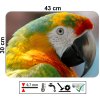 Prostírání na stůl s motivem papouška ara, rozměr 43 x 30 cm, omyvatelné PVC