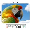 detail hlavy papouška ara s modrou oblohou jako design PVC prostírání