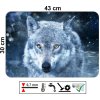 Omyvatelné plastové prostírání s motivem vlka v zimní krajině, rozměr 43 x 30 cm