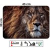 Plastové prostírání 43 x 30 cm s motivem lva ve výrazném uměleckém zpracování