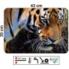 plastové prostírání s realistickým motivem tygra v přírodním prostředí