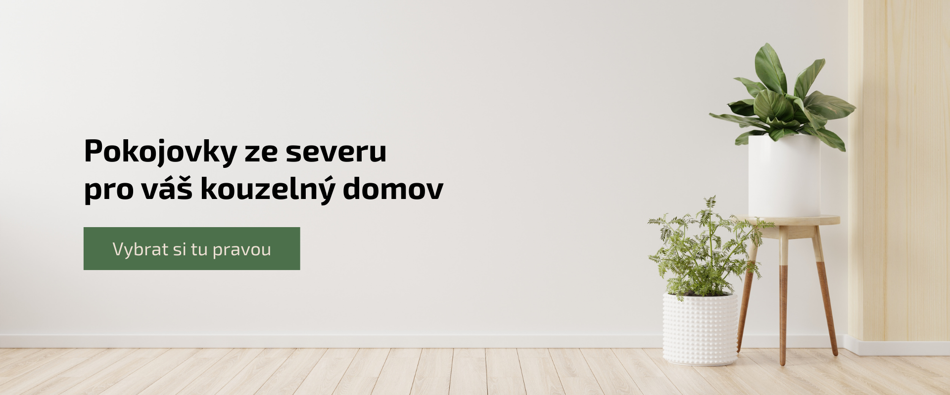 Pokojovky ze severu pro váš kouzelný domov