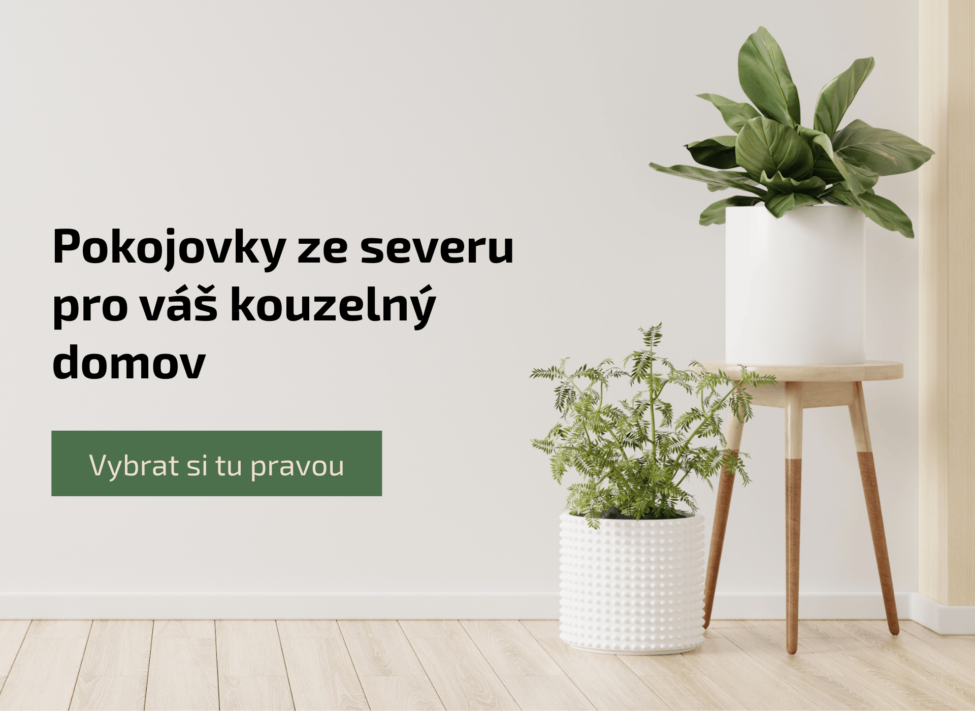 Pokojovky ze severu pro váš kouzelný domov