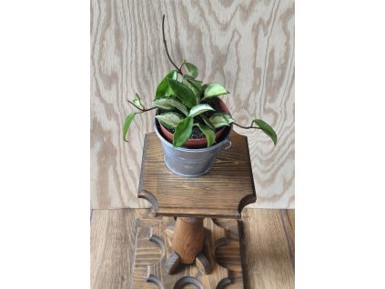 č.2, 12 cm květináč