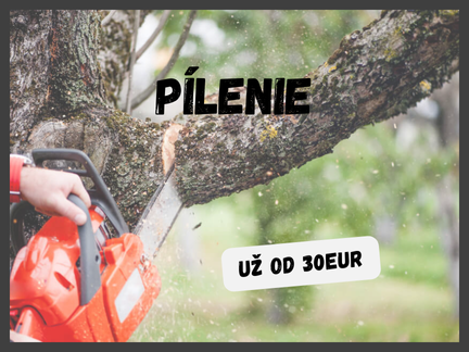 Pílenie