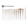 silver line all 13