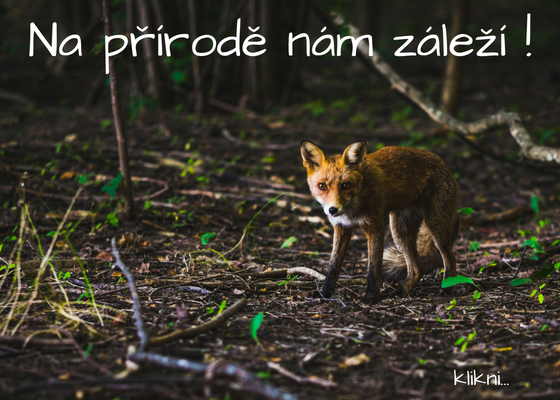 když každý udělá maličkost ...