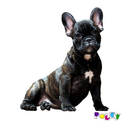 sedící buldoček web