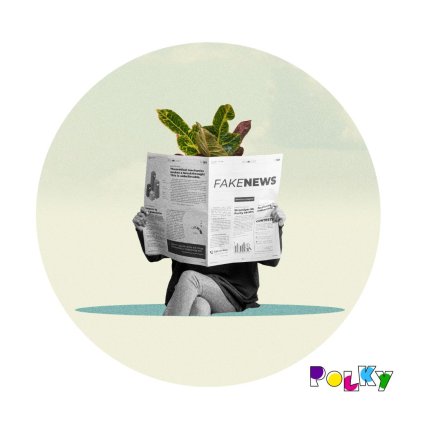 Fake News web