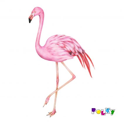 plameňák 10x6 web
