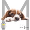 hnědo bílý ležící pes M+ 28x11 tisk koty