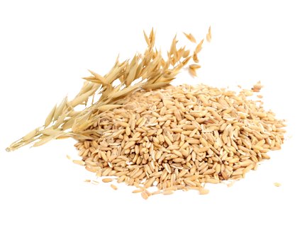 Oats PNG Image Background