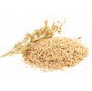 Oats PNG Image Background