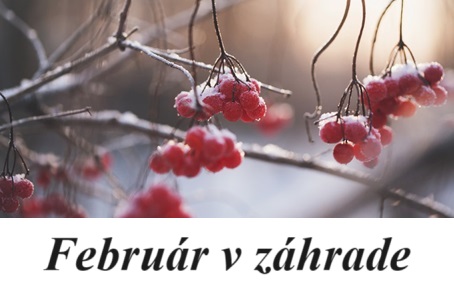 februar