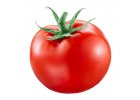 Pre paradajku papriku