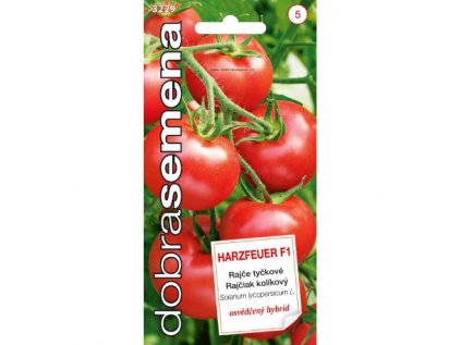 Paradajky HARZFEUER F1 kolíkocé