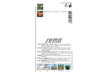 Tekvica Hokkaido
