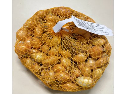 Cibuľa sadzačka podhovastá Všetana 500g