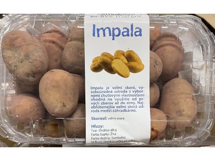 CF4A8BA1 CE3C 4A17 8453 52A9F4B7E8A0