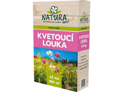 kvitnuca luka